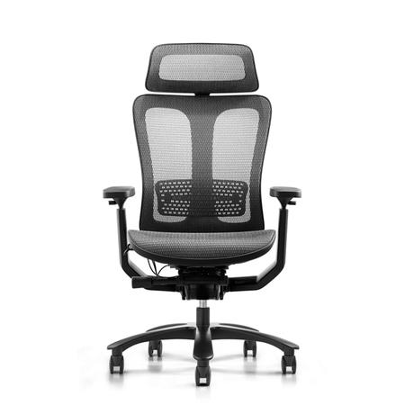 Executive Mesh Ergonomic Chair
