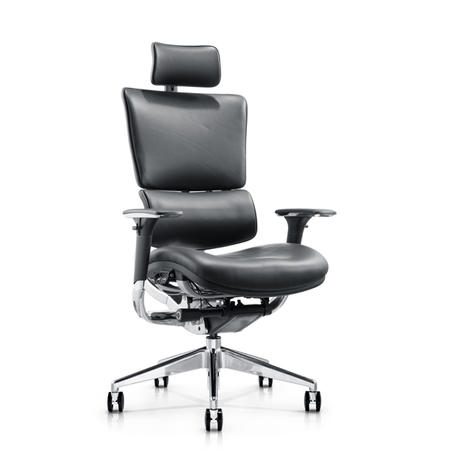 Manger Mesh Ergonomic Chair