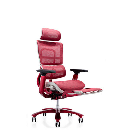 Modern Special Design Chair