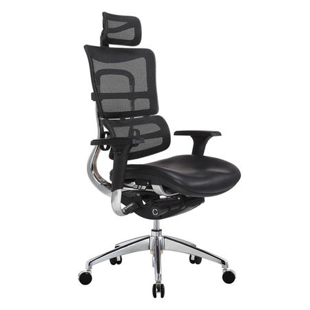 Manager Ergonomic Mesh Chair